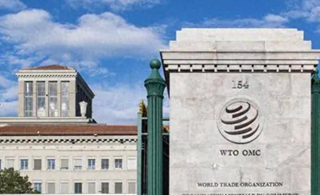 加拿大自食苦果，全球160多个国家收到中方通知，加拿大政府后悔也来不及了