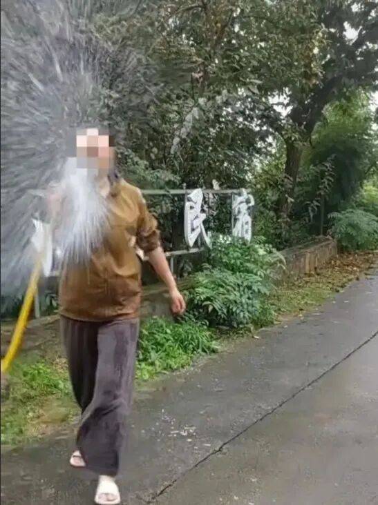 游客花果山捡板栗被诬偷盗,景区也有责任 | 新京报快评