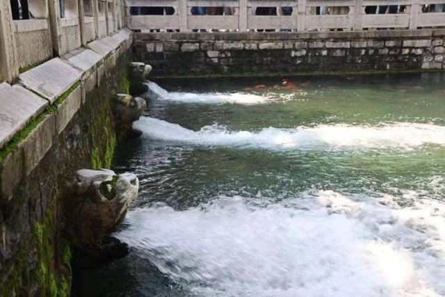 黑虎泉喷得“兽头”都不够用了!济南群泉竞涌,几十年一见