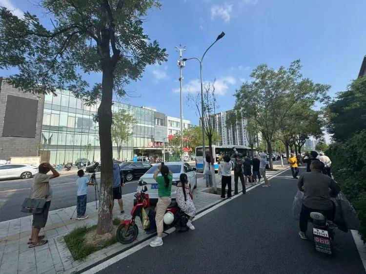 北京街头现国家重点保护野生动物！引市民驻足围观——