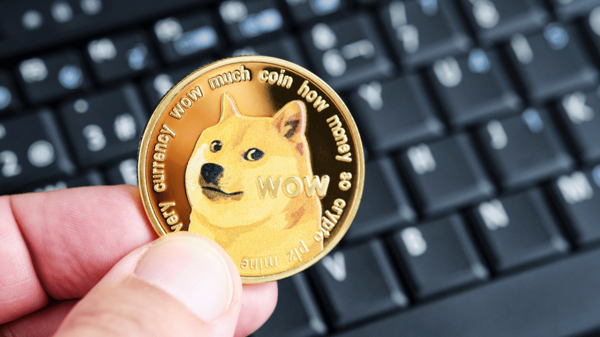 狗狗狗币(狗狗狗币价格)