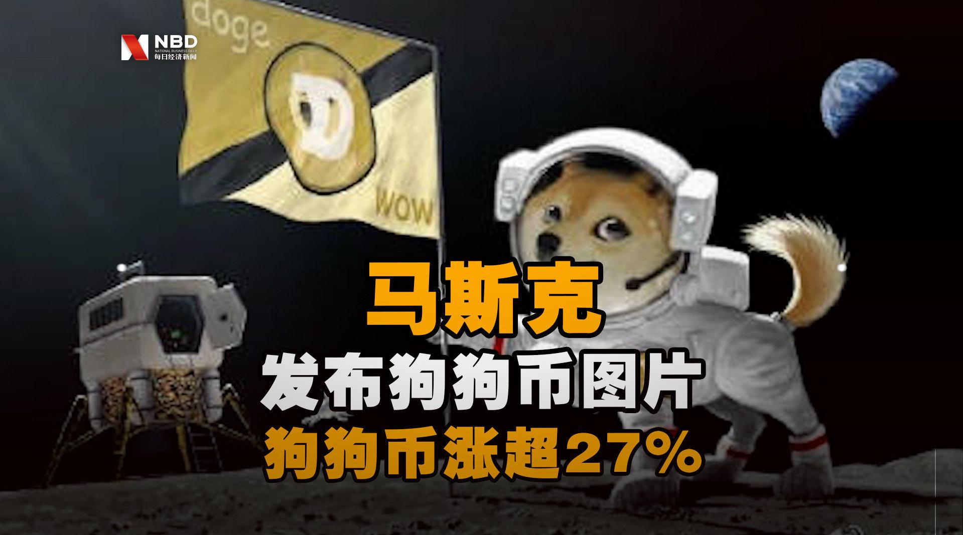 2017狗狗币最新消息(狗狗币2017年最高涨了多少倍)