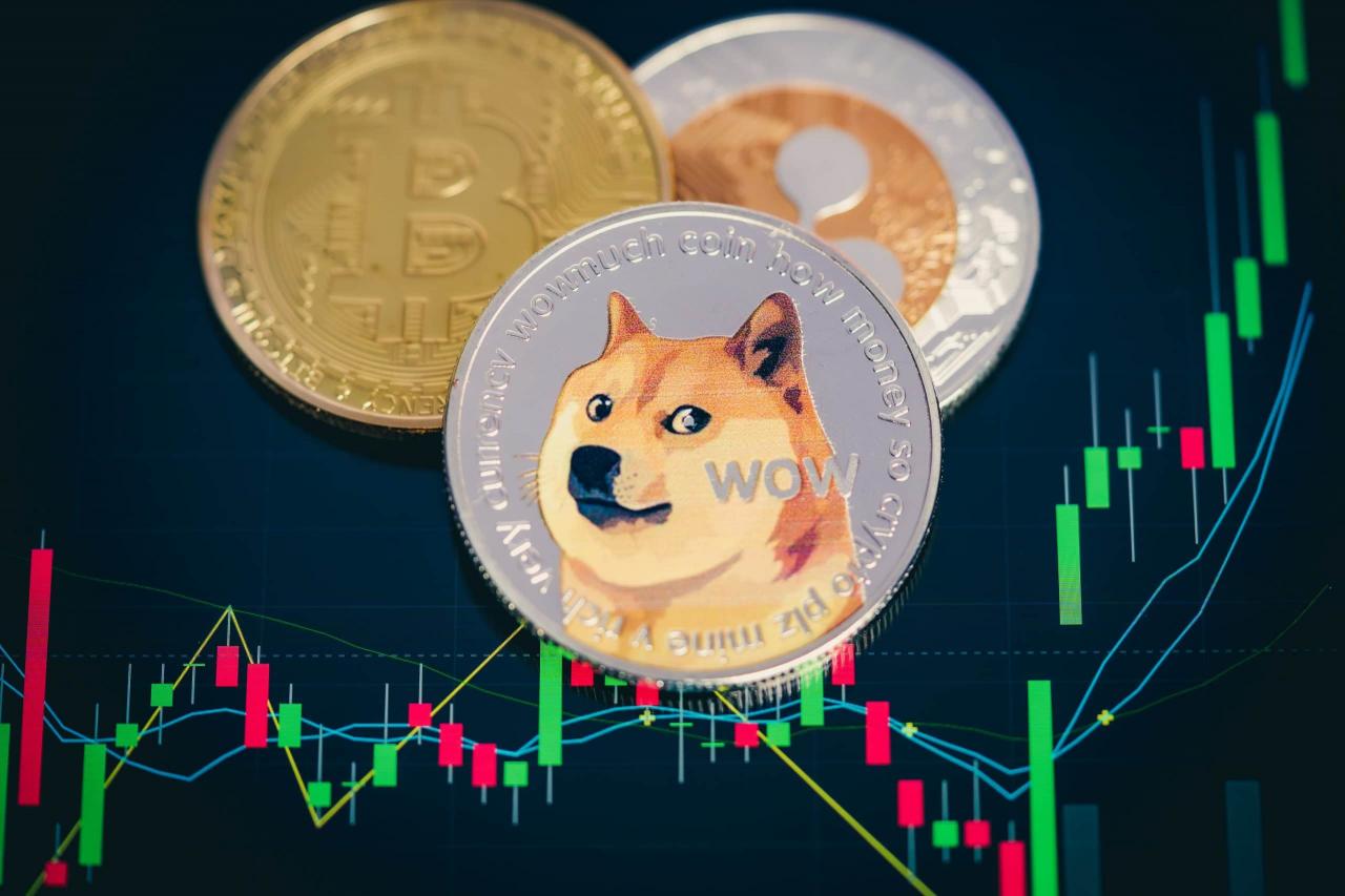 狗狗币规律(狗狗币从发行到现在涨了多少倍)