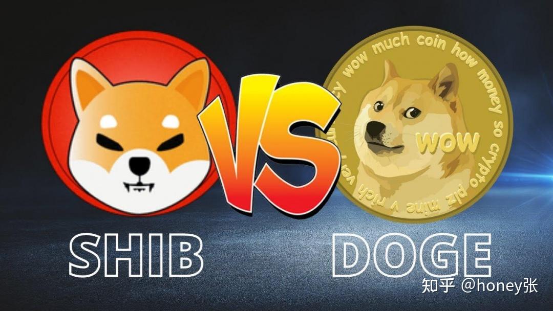 狗狗币的知乎(狗狗币是个骗局)