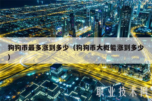 狗狗币最高(狗狗币最高价格涨到多少的)