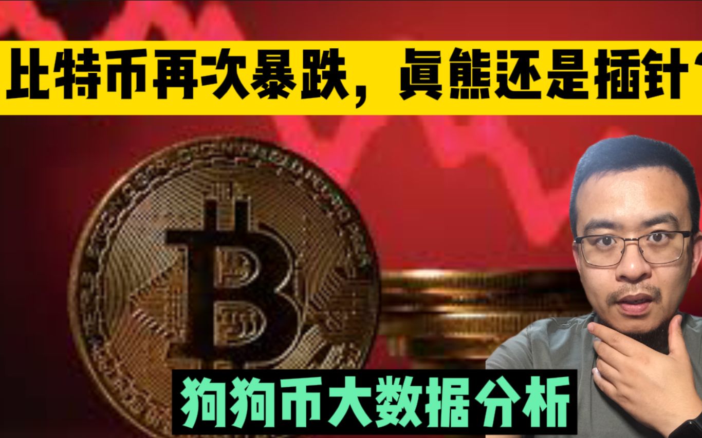 狗狗币分析(狗狗币 技术)