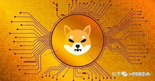 狗狗币的前景(2020年狗狗币投资前景怎么样)