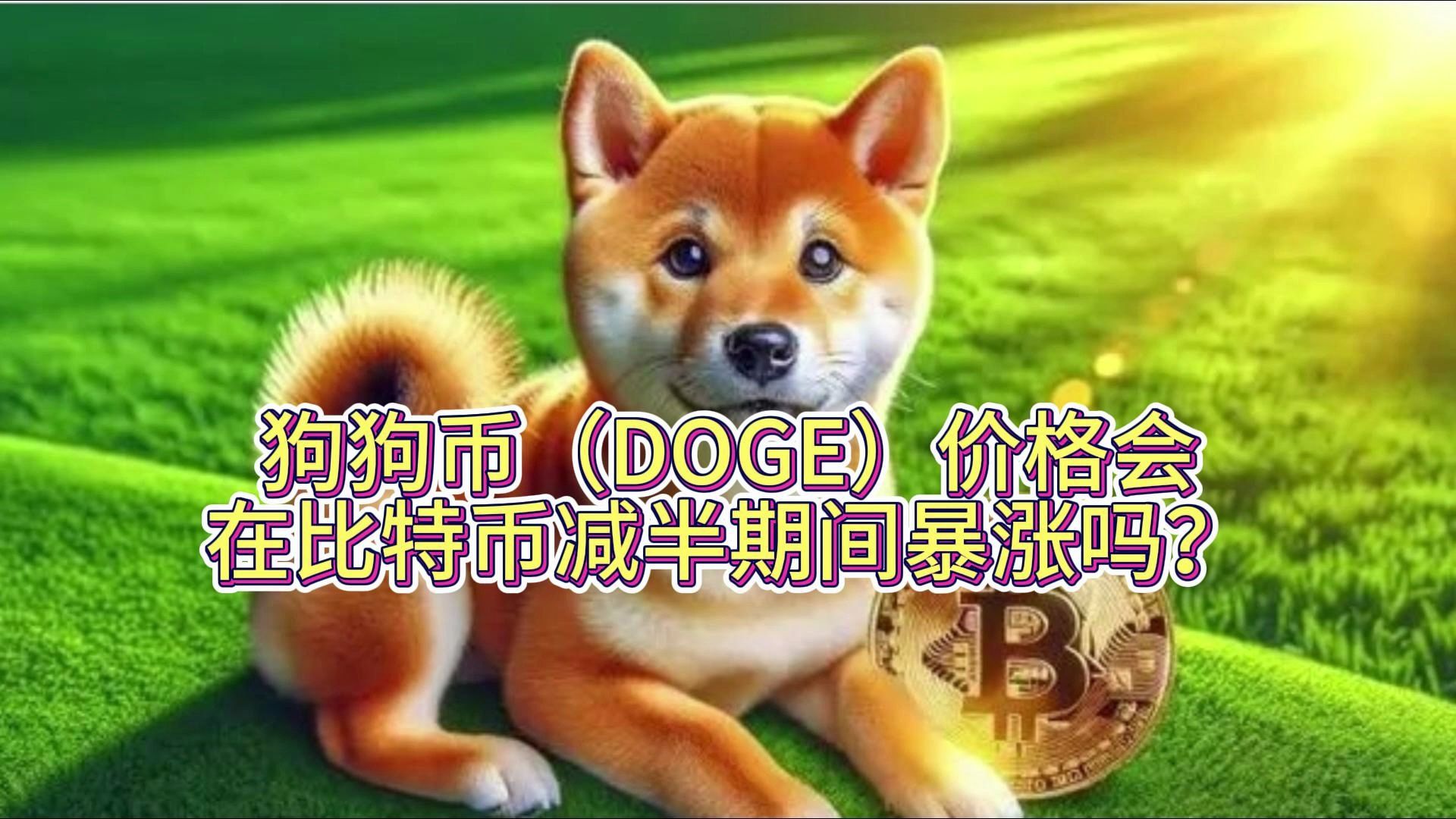 狗狗狗币(狗狗币百科)