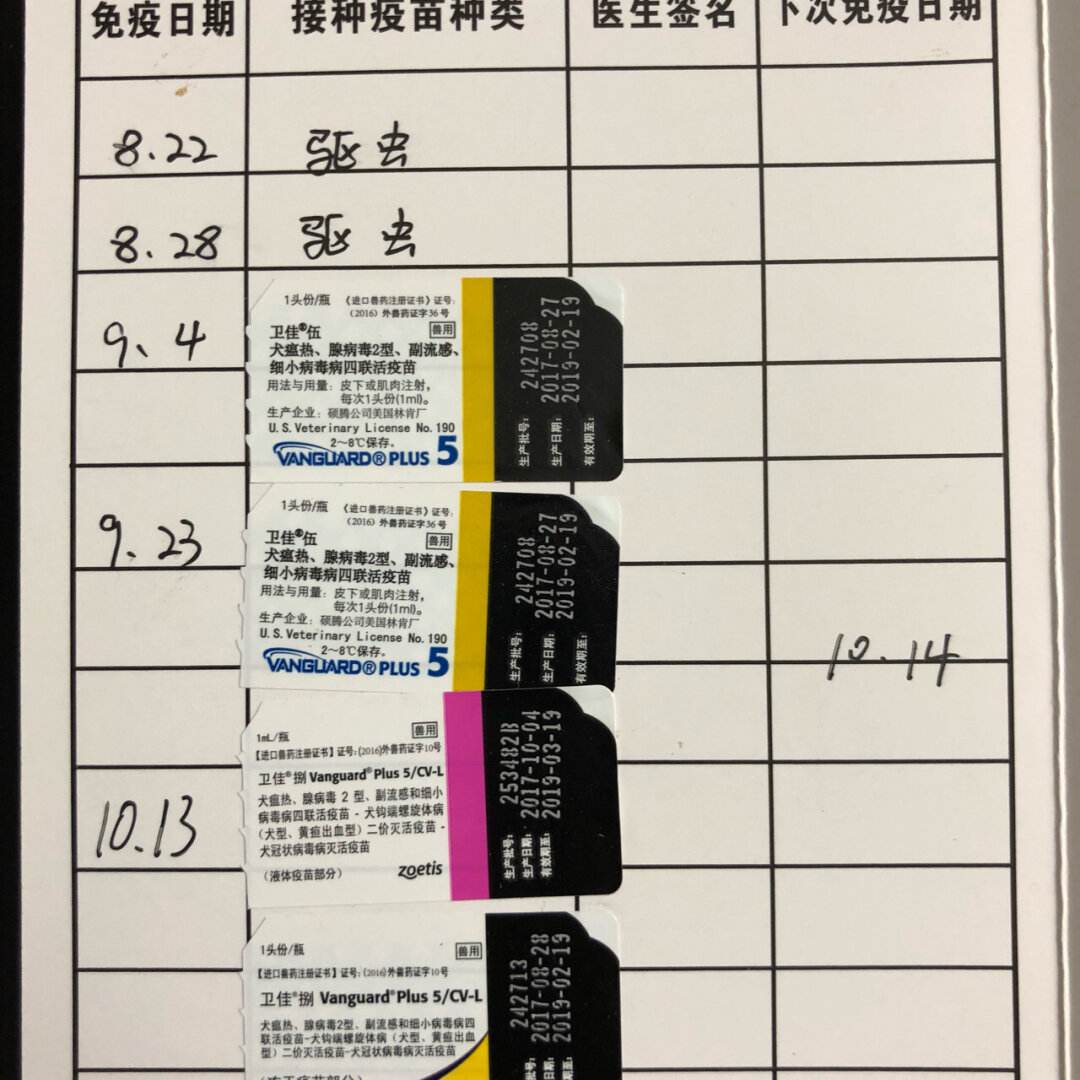 狗狗币查询(狗狗币查询地址)