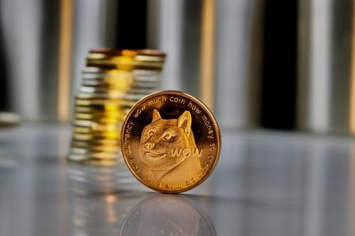 狗狗币未来(狗狗币未来能涨一万倍吗)