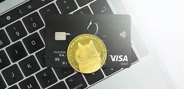 狗狗币支付(狗狗币支付的商家)