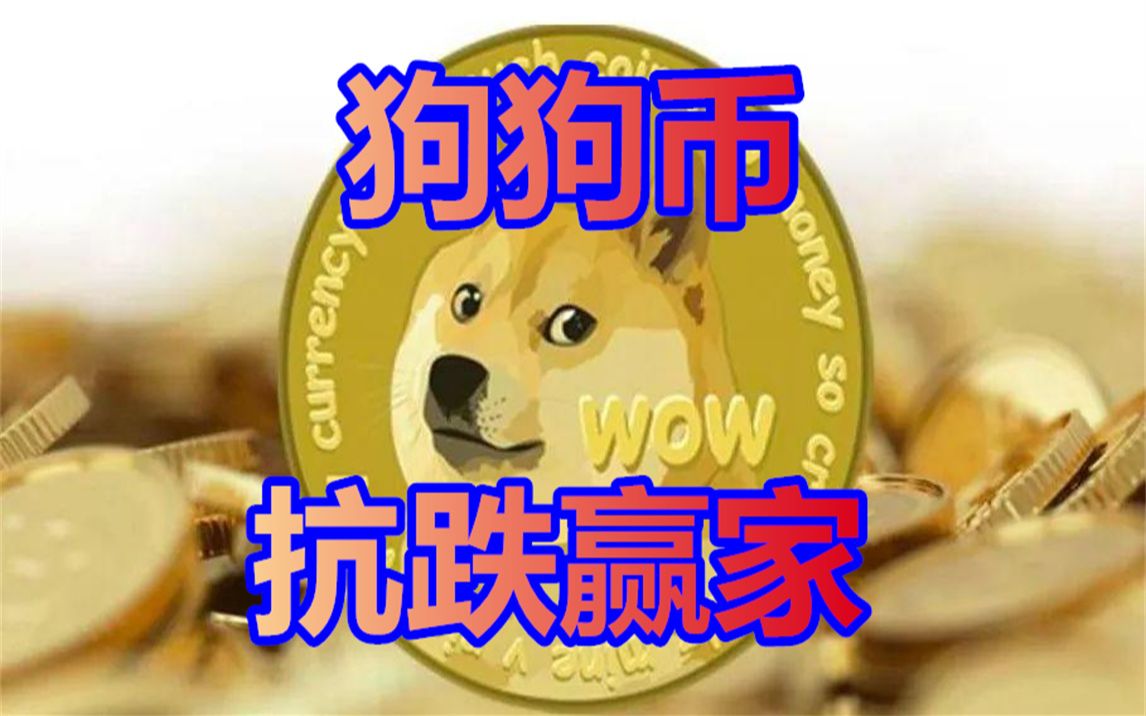 狗狗币跌(狗狗币跌的时候可以买吗)