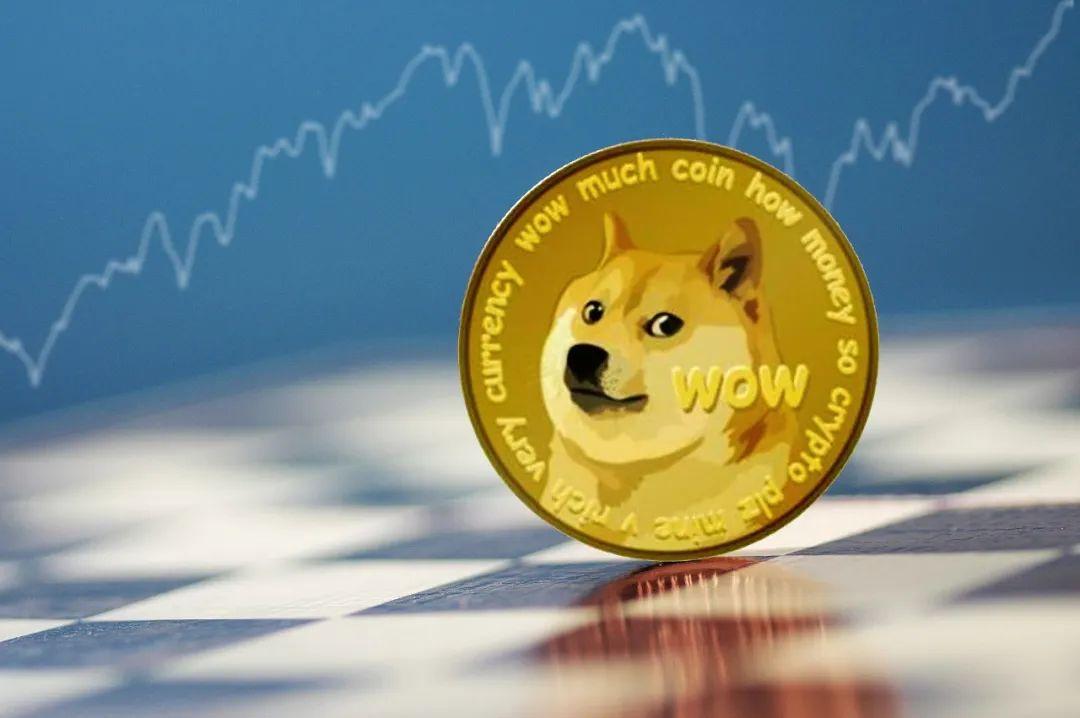 狗狗币的知乎(狗狗币是一场骗局)