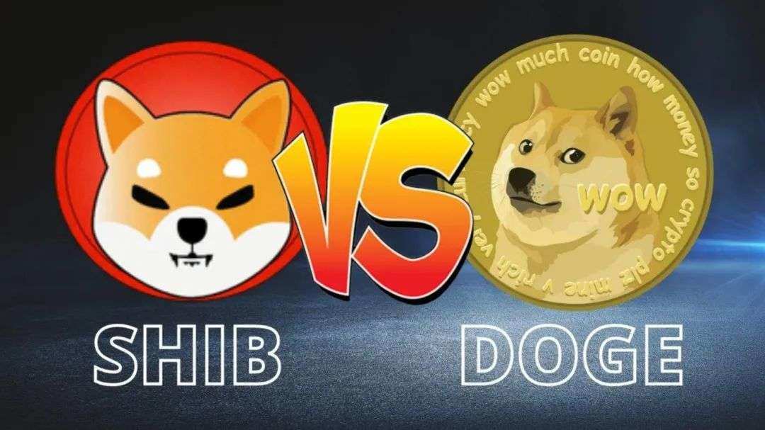 狗狗币产量(狗狗币的产出)