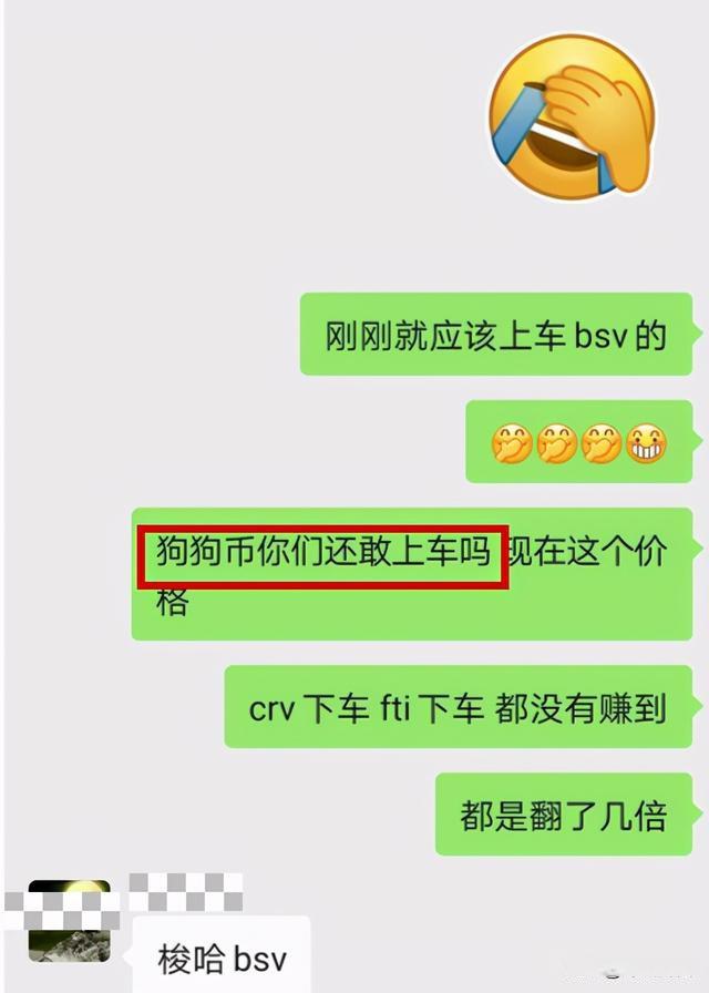 狗狗币交流群(狗狗币项目交流群)