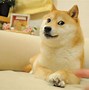 狗狗币最近行情(狗狗币今日最新价格)