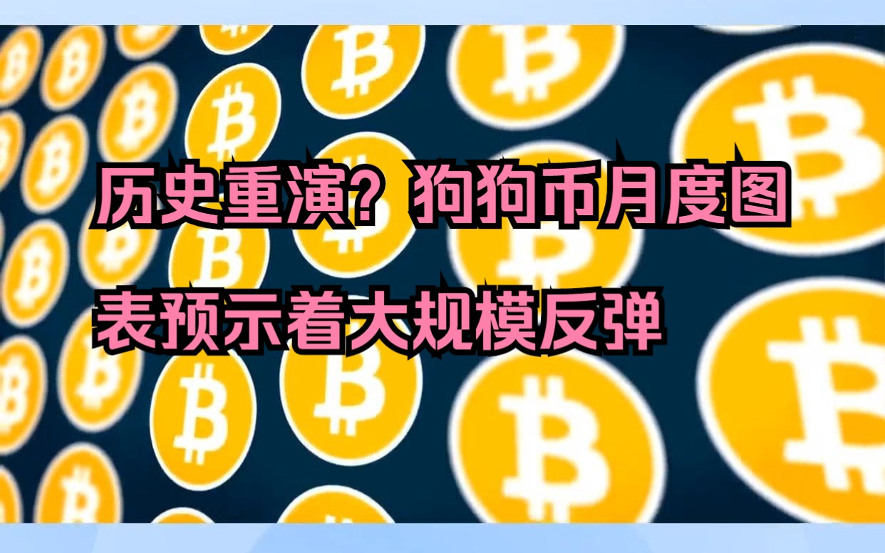 狗狗币历史走势图(狗狗币历史行情走势图)