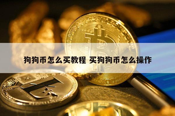 狗狗币哪里买(狗狗币去哪儿买)
