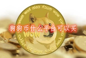 狗狗币交易网(狗狗币交易系统)