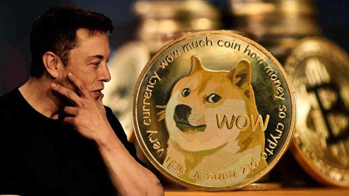 马斯克与狗狗币(马斯克狗狗币和柴犬币)