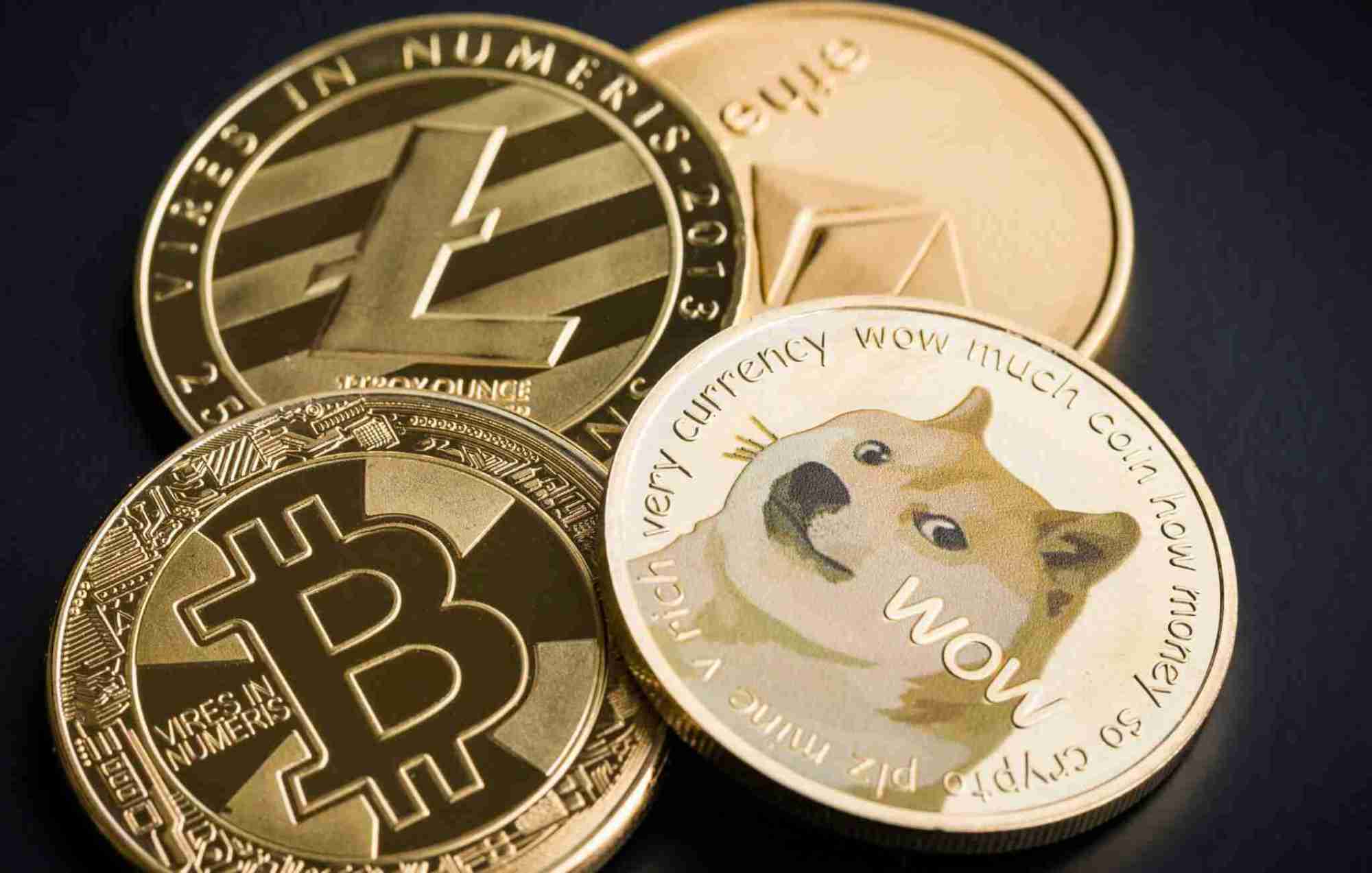 狗狗币的狗年(狗狗币哪年出来的)