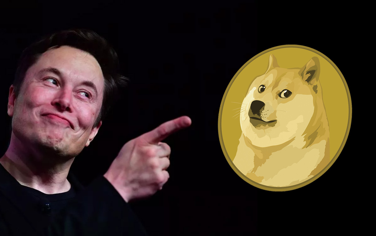 马斯克狗狗币(马斯克狗狗币和柴犬币)