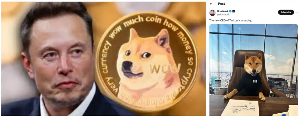 2015年狗狗币价格的简单介绍