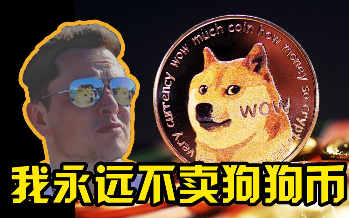 狗狗币提(狗狗币提现到钱包)
