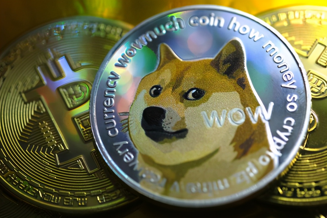 狗狗币资产(狗狗币是资金盘吗)