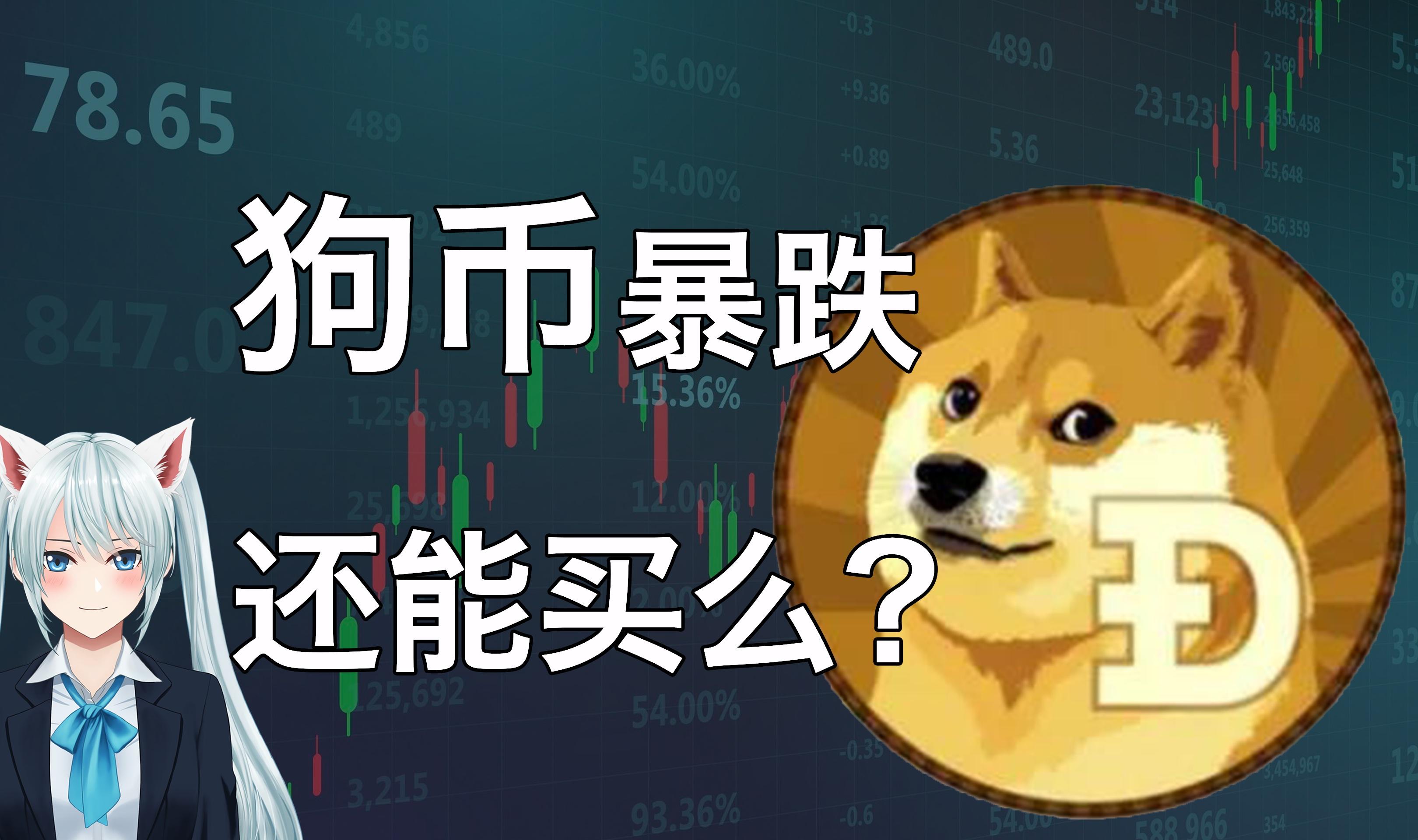 狗狗币从发行涨了多少(狗狗币发行至今涨了多少倍)