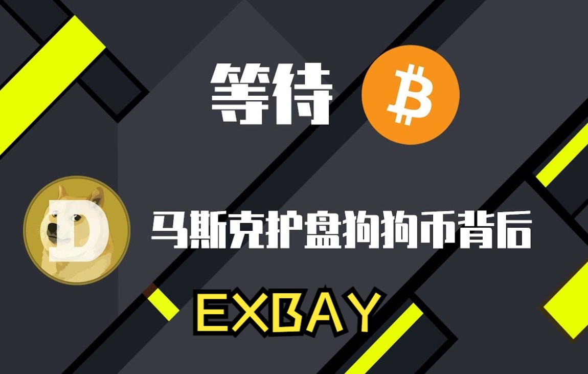 狗狗币在哪里玩(狗狗币在哪里买啊)