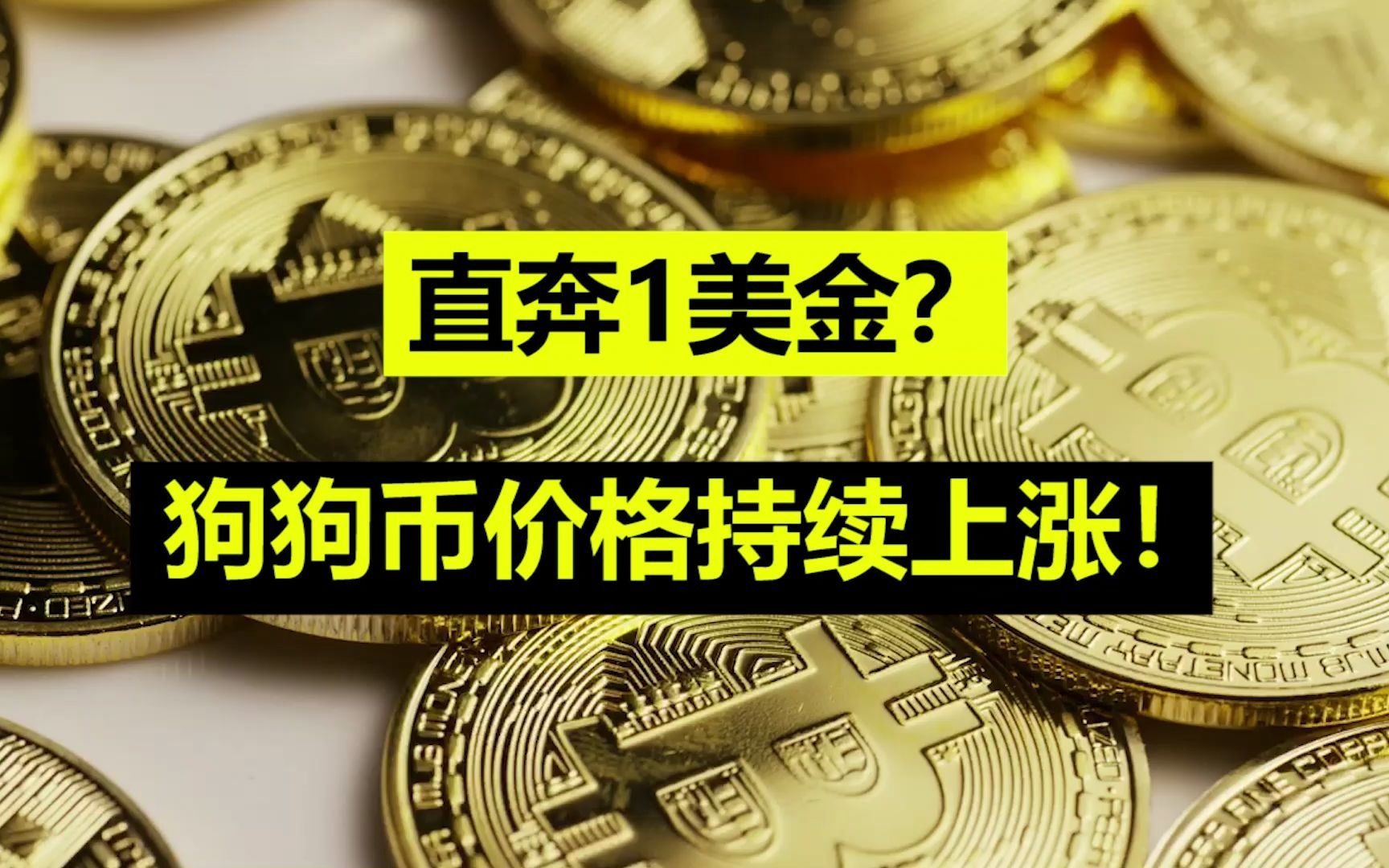 狗狗币是合法币吗(狗狗币doge合法吗)