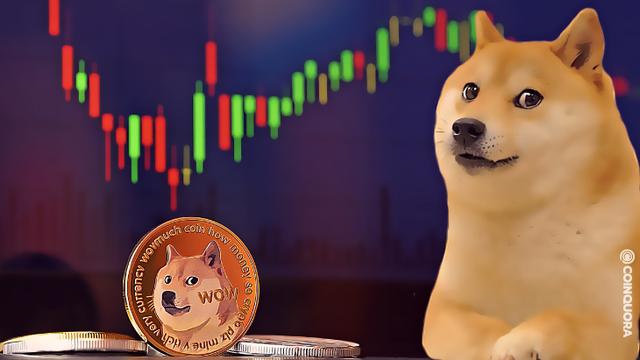 币狗狗(币狗狗币)