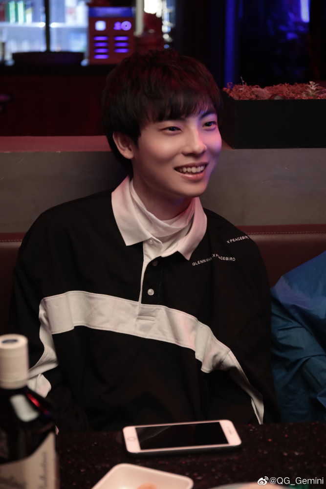 GEMINI(gemini国内能用吗)