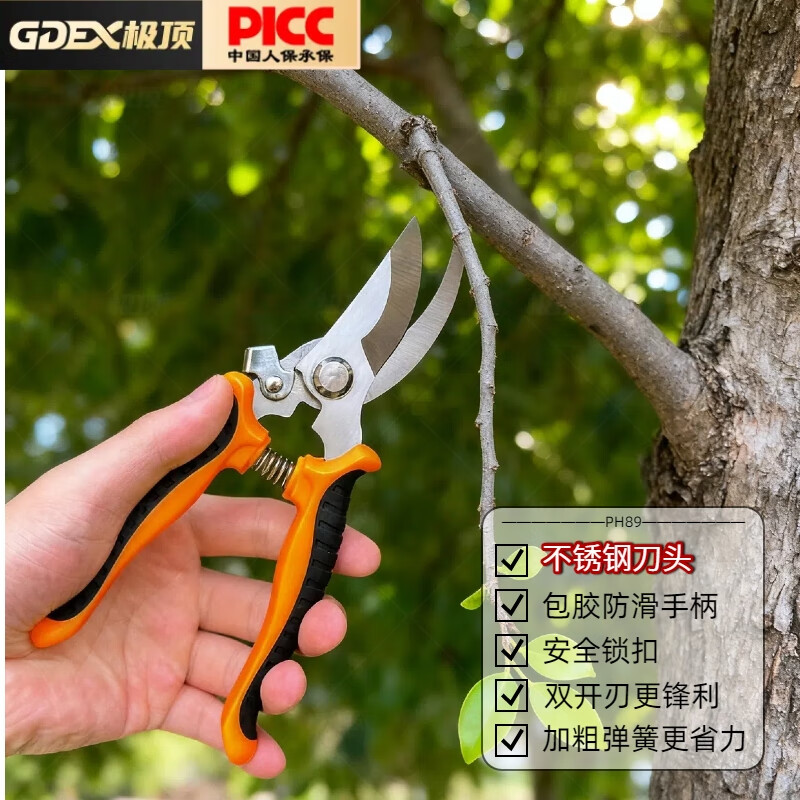 GDEX(广东二线城市有哪些) GDEX(广东二线城市有哪些)