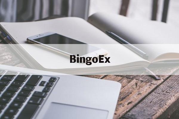 BingoEx(bingoex交易所排名)